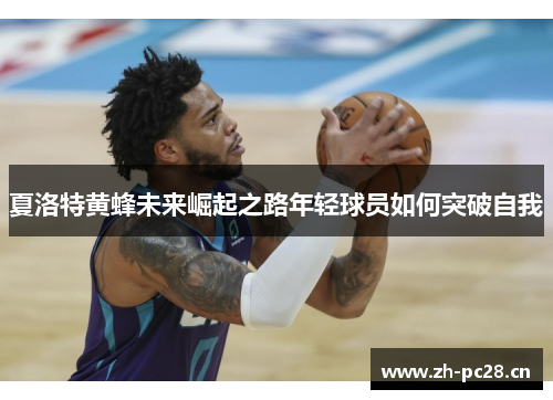 夏洛特黄蜂未来崛起之路年轻球员如何突破自我 夏洛特黄蜂未来崛起之路年轻球员如何突破自我